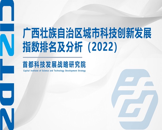 老肥婆BBW【成果发布】广西壮族自治区城市科技创新发展指数排名及分析（2022）